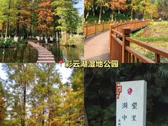 -重庆彩云湖湿地公园