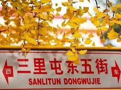 -三里屯东五街银杏大道