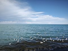 -青海湖国家重点风景名胜区