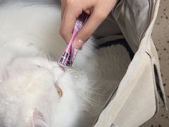 -瑞派康怡24h宠物医院·犬猫医疗中心·微创绝育(瑞景分院)