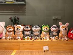 -柴务处·柴犬主题狗咖