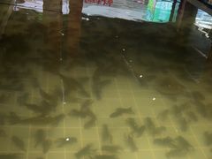 -虾胡闹龙虾馆(湄南河店)