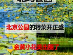 -北坞公园
