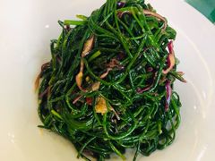 炝拌沙葱-国强手抓(北京西路店)