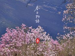 -九皇山景区
