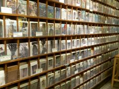 -猫的天空之城概念书店(西塘古镇店)