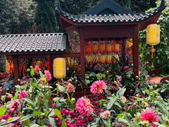 -新加坡万豪董厦酒店