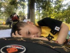 -铁山坪森林公园