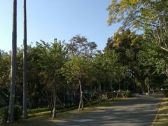 -炮台山公园