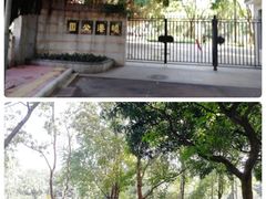 -晓港公园