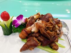 -雪园(南山街店)