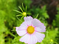 -云峰山自然风景区