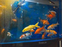 -足来足往养生会所