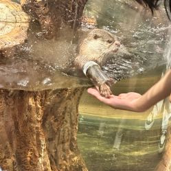 -Zoolung Zoolung动物主题公园(海信广场店)