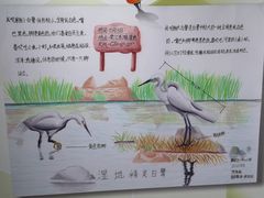 -上海昆虫博物馆