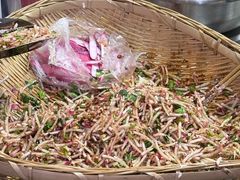 -半月镰胡姐脆皮萝卜饺子