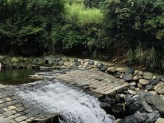 -石台牯牛降景区