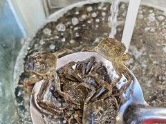 -仙螺岛海鲜自助餐厅(总店)