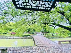 -楠溪江风景名胜区