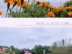 -浙江万里学院(钱湖校区)