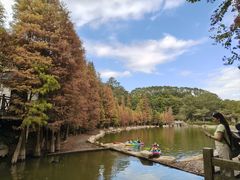 -广州市帽峰山景区