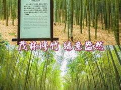 -大奇山国家森林公园