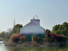 -泗洪洪泽湖湿地景区