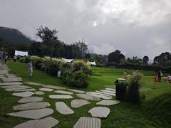 -云禾壹海景庄园餐厅