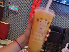 -一只酸奶牛(时代天街A馆店)