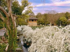 -中国茶叶博物馆(双峰馆区)