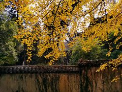 -无锡惠山寺