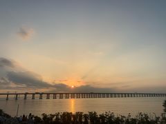 -宝安西湾红树林湿地公园