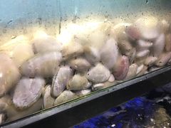 -金唐海鲜酒家