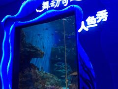 -海合安成都极地海洋公园