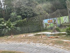 -深圳野生动物园
