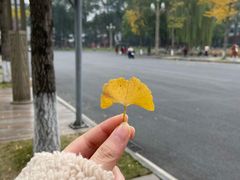 -四川大学(望江校区)