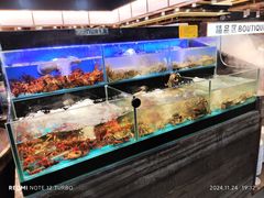 -苏格里岛自助烤肉海鲜火锅(成都金牛万达店)