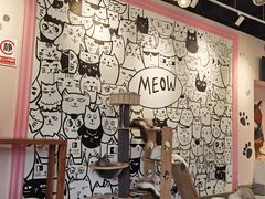 -喵匠猫主题咖啡(凯德和平广场店)