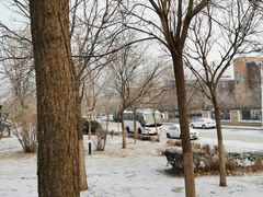 -万源龙顺度假庄园生态观光园