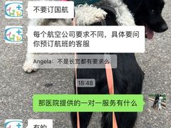 -北京观赏动物医院·24小时大型综合·猫专科·异宠专科