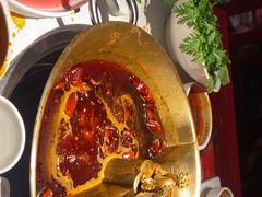-小龙翻大江文化火锅(宽窄店)