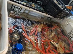 -争先鲜·蒸汽海鲜自助·鲜切牛肉