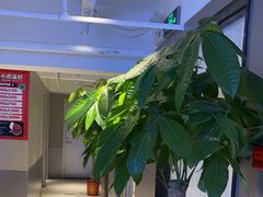-石牌岭小亮蒸虾•湖北老字号(左岭店)