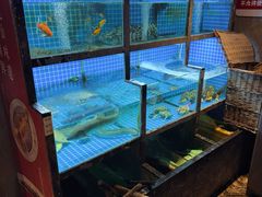 -宴昆山·私房菜(春晖店)