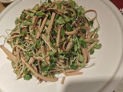 -老高家饺子馆