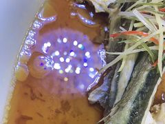 -杨正宗烤全羊(北二环店)