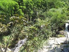 -藏龙百瀑风景区