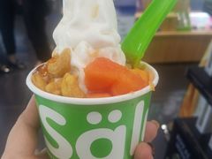 -Salud撒露欧洲冻酸奶(蓝色港湾店)