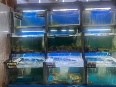 -老东镇啤酒屋海鲜加工·蒸汽海鲜·海鲜烧烤(台东店)