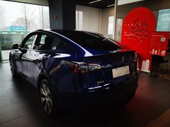 -TESLA 特斯拉(郑州正弘城体验店)